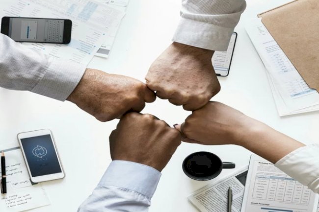 إدارة التحالفات