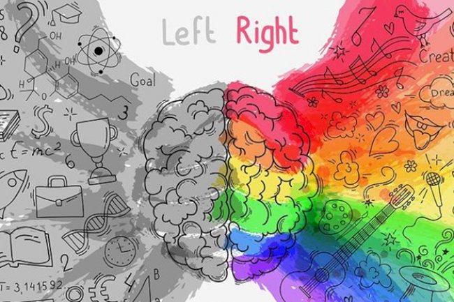 هل تستخدم الجانب الأيمن أم الأيسر ؟؟!!